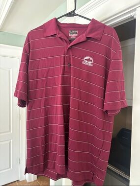 Men's Short-Sleeve Polo in Maroon with Stripe Detail